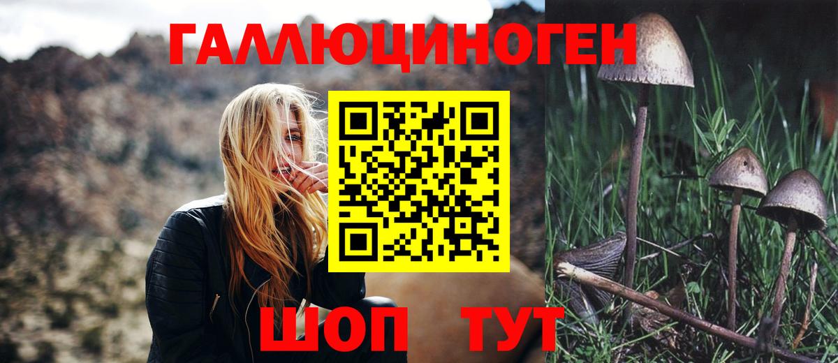 Галлюциногенные грибы MAGIC MUSHROOMS  Вход с VPN  Псилоцибиновые грибы Cubensis  Свободный 